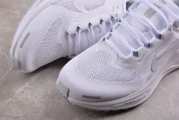 Nike Air Zoom Pegasus 41 FD2722-102