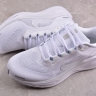  Nike Air Zoom Pegasus 41 FD2722-102