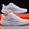  Nike Air Zoom Pegasus 41 FD2722-102