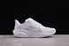 Nike Air Zoom Pegasus 41 FD2722-102 