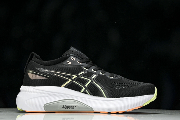 Asics Gel-kayano 31 1011B867-003