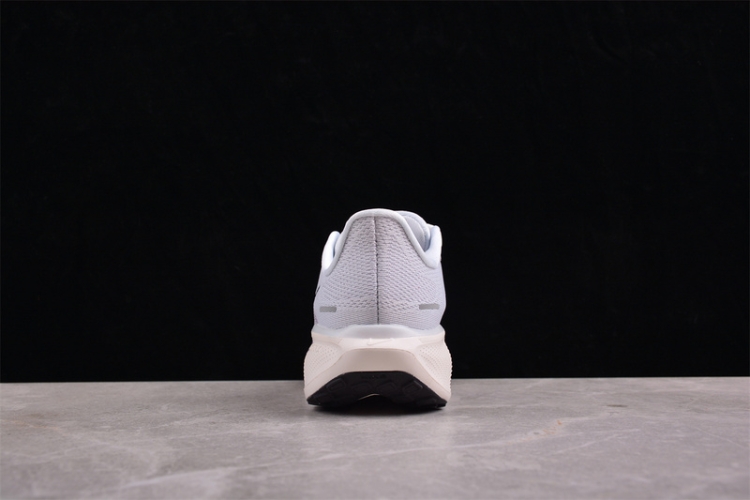  Nike Air Zoom Pegasus 41 FD2723-004