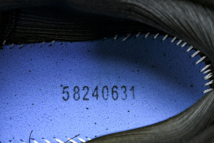 Asics Gel-kayano 31 1012B744-001