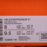 Nike Air Zoom Pegasus 41 HJ9068-100