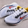 Nike Air Zoom Pegasus 41 HJ9068-100