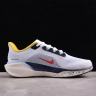 Nike Air Zoom Pegasus 41 HJ9068-100