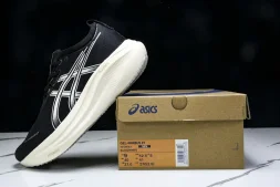 Asics Gel-kayano 31 1012B670-002