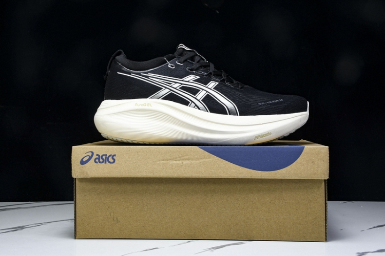 Asics Gel-kayano 31 1012B670-002