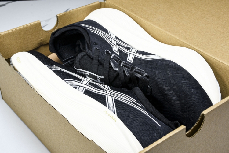 Asics Gel-kayano 31 1012B670-002
