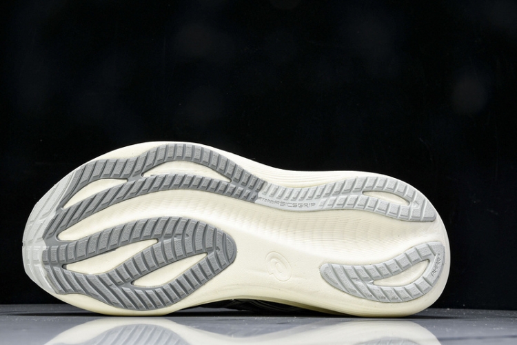 Asics Gel-kayano 31 1012B670-002