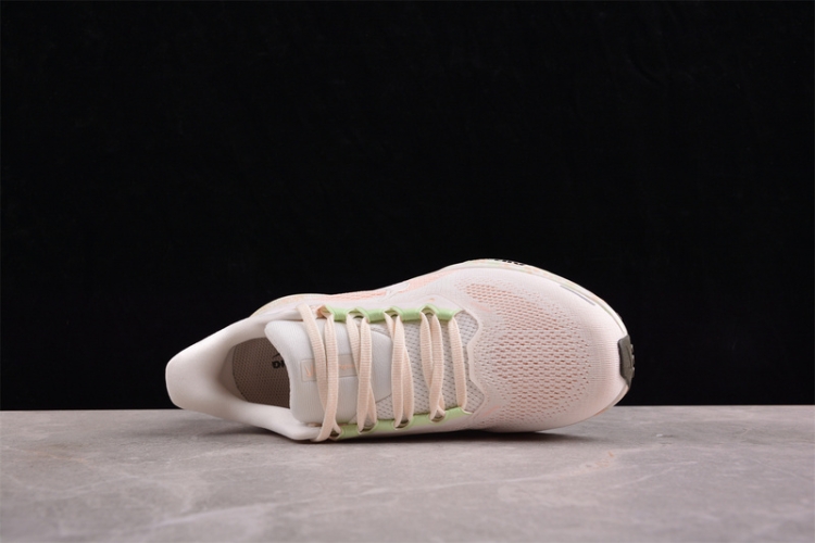  Nike Air Zoom Pegasus 41 HM5539-133