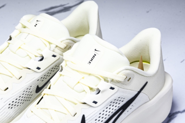 Nike Quest 6 FD6033-104 