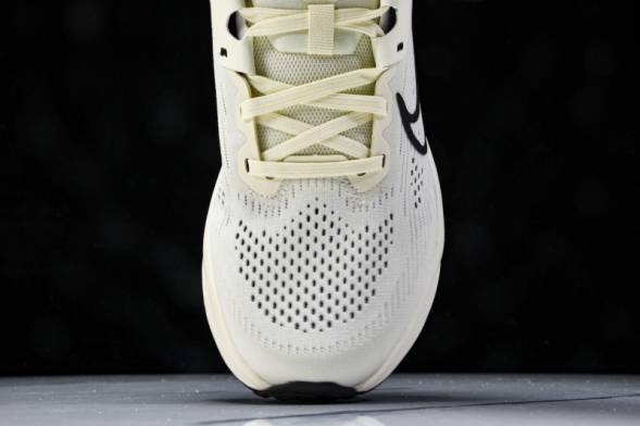 Nike Quest 6 FD6033-104 