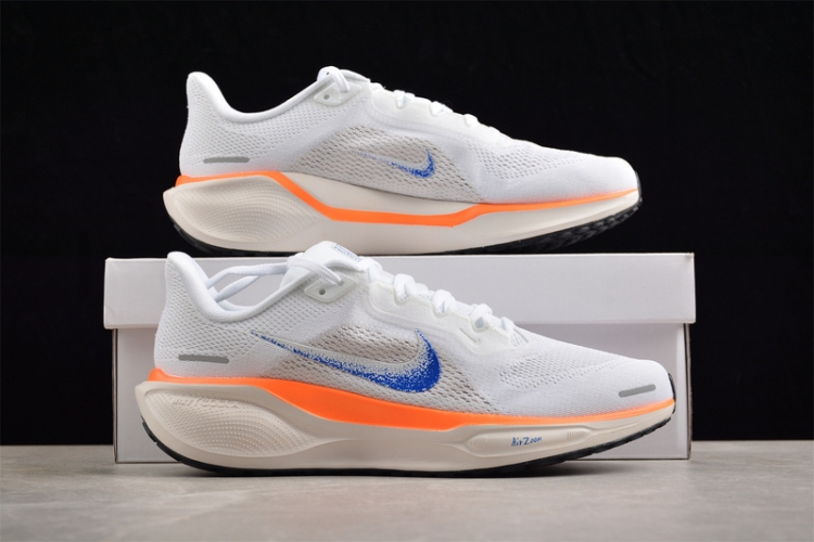  Nike Air Zoom Pegasus 41 FP HF0013-900