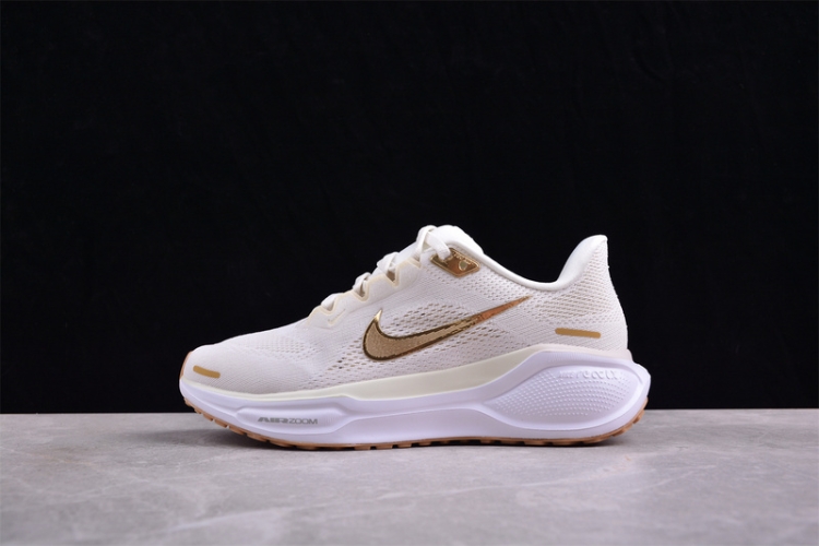  Nike Air Zoom Pegasus 41 FD2723-005