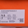 Nike Air Zoom Pegasus 41 FD2723-005