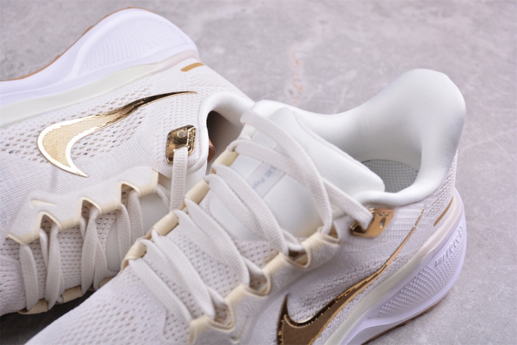  Nike Air Zoom Pegasus 41 FD2723-005