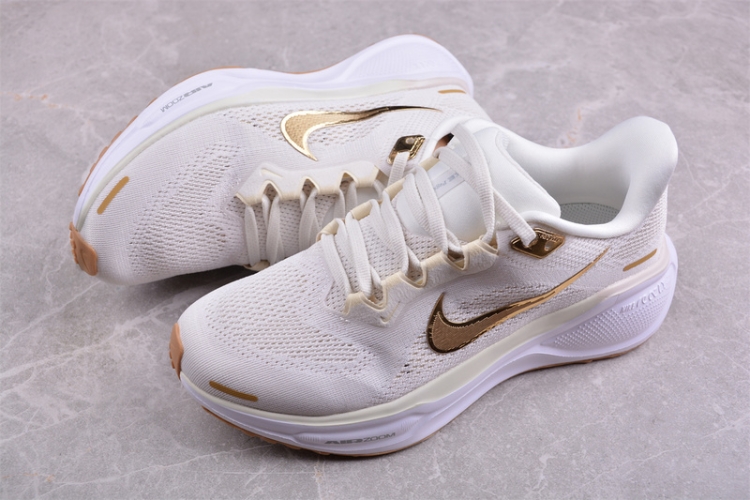  Nike Air Zoom Pegasus 41 FD2723-005