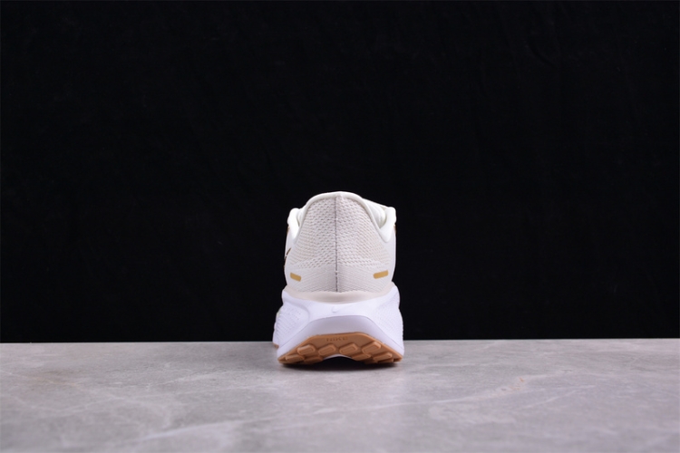  Nike Air Zoom Pegasus 41 FD2723-005