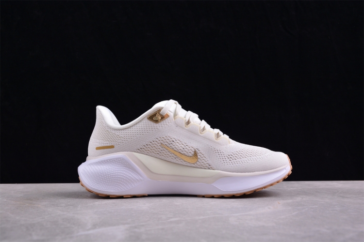  Nike Air Zoom Pegasus 41 FD2723-005