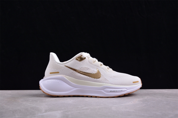  Nike Air Zoom Pegasus 41 FD2723-005