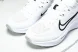 Nike Quest 6 FD6033-100 
