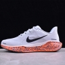 Nike Air Zoom Pegasus 41 FV2229-900