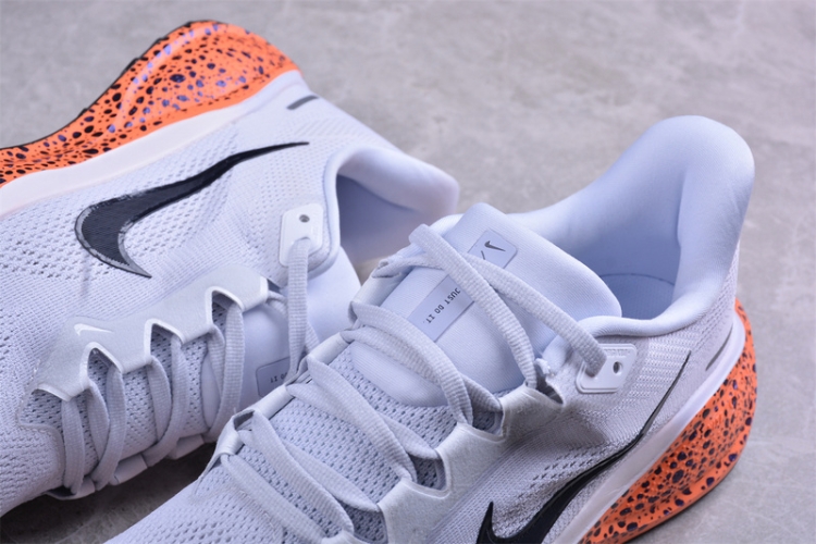  Nike Air Zoom Pegasus 41 FV2229-900