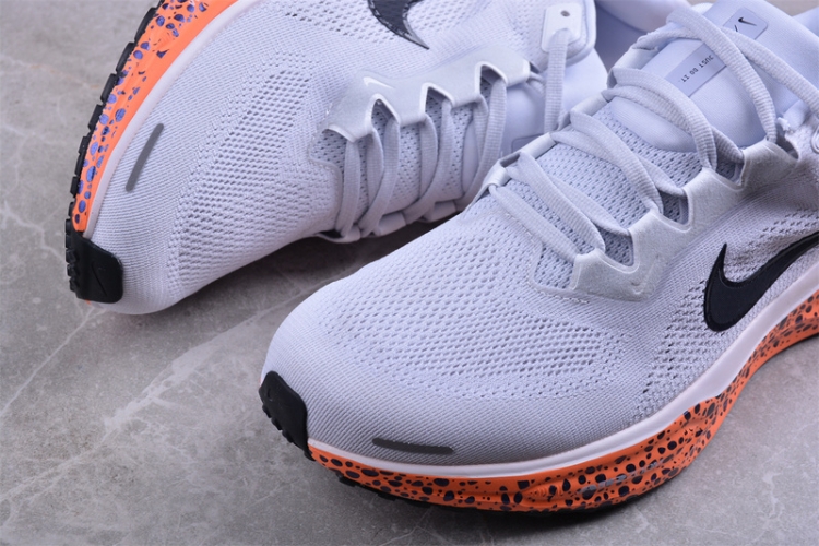  Nike Air Zoom Pegasus 41 FV2229-900