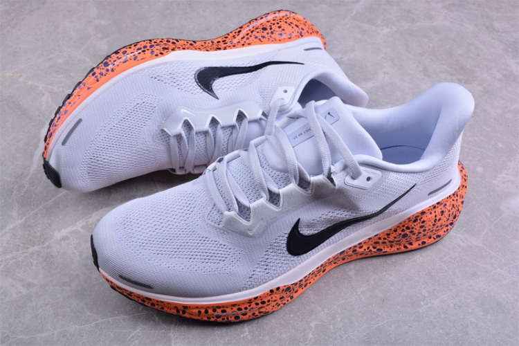  Nike Air Zoom Pegasus 41 FV2229-900