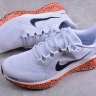 Nike Air Zoom Pegasus 41 FV2229-900