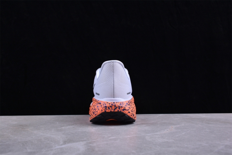  Nike Air Zoom Pegasus 41 FV2229-900