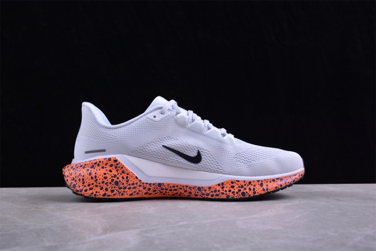  Nike Air Zoom Pegasus 41 FV2229-900