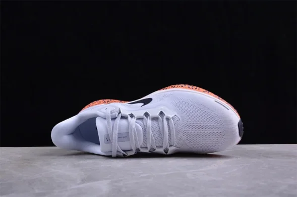 Nike Air Zoom Pegasus 41 FV2229-900 