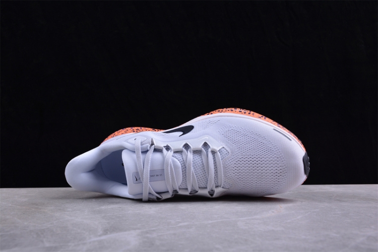  Nike Air Zoom Pegasus 41 FV2229-900