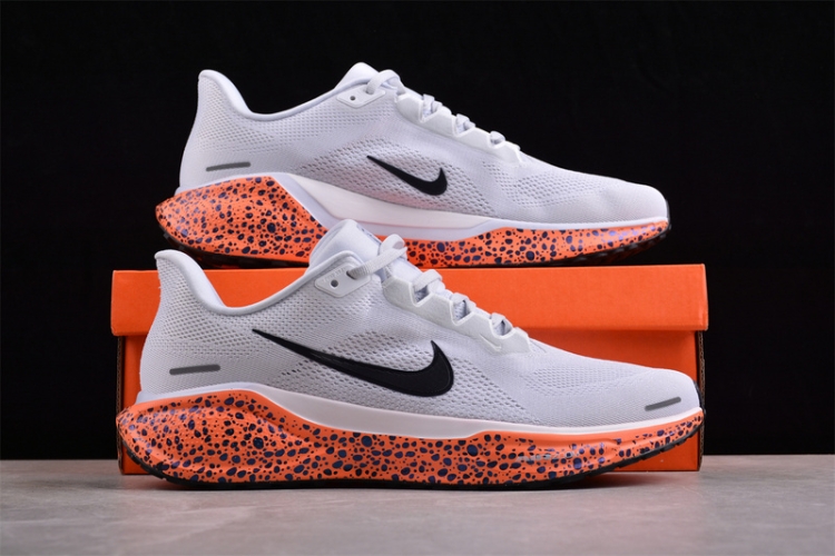  Nike Air Zoom Pegasus 41 FV2229-900