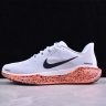 Nike Air Zoom Pegasus 41 FV2229-900