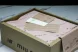 MiuMiu x New Balance 530 5E964D 