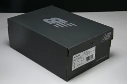 New Balance 1906 M1906REB