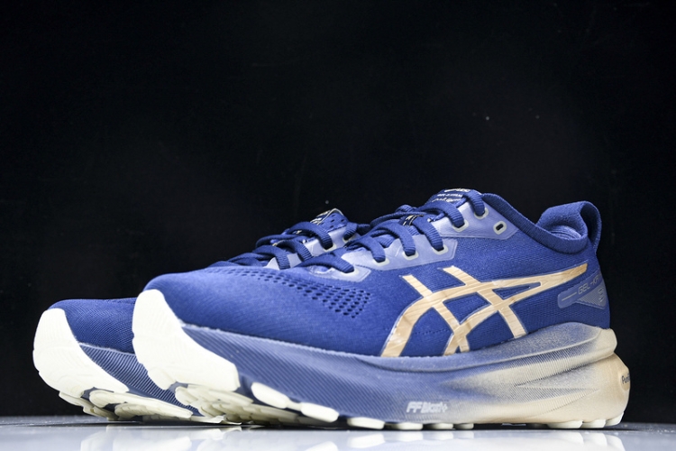 Asics Gel-kayano 31 1011B950-400
