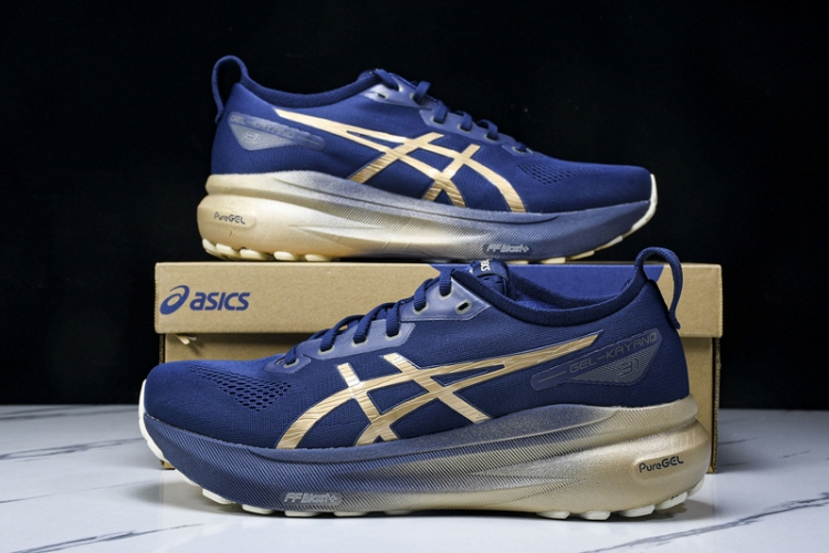 Asics Gel-kayano 31 1011B950-400