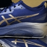 Asics Gel-kayano 31 1011B950-400