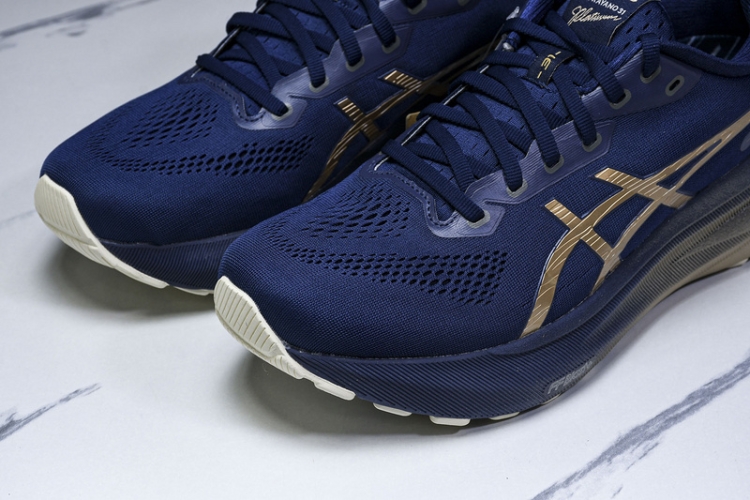 Asics Gel-kayano 31 1011B950-400