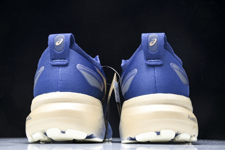 Asics Gel-kayano 31 1011B950-400