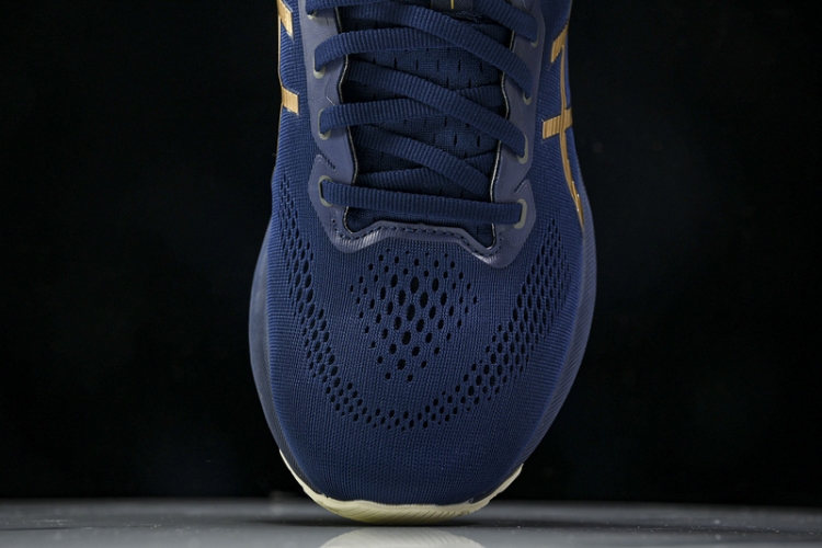Asics Gel-kayano 31 1011B950-400