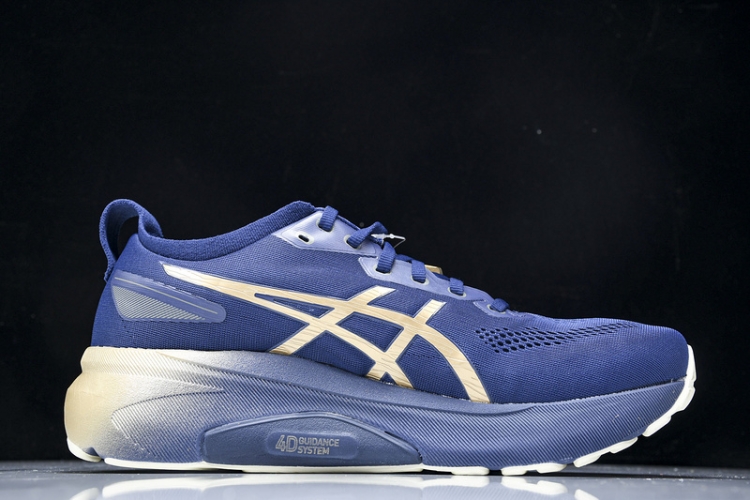 Asics Gel-kayano 31 1011B950-400
