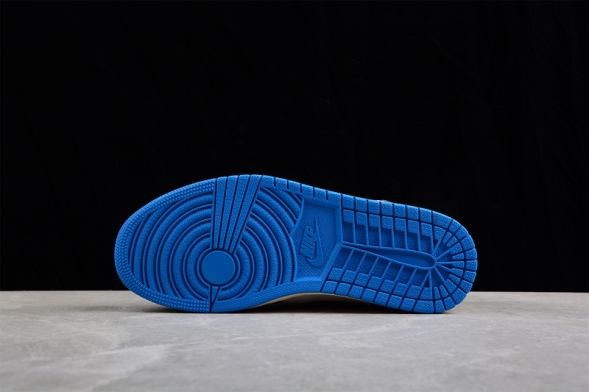 Nike Air Jordan 1 low UNC Grey DZ5376-469 