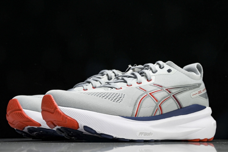 Asics Gel-kayano 31 1011B867-021