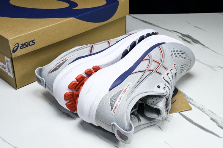 Asics Gel-kayano 31 1011B867-021