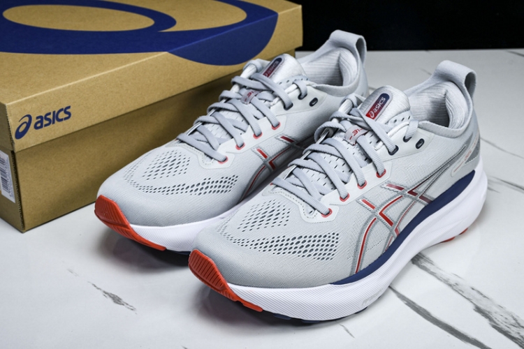 Asics Gel-kayano 31 1011B867-021
